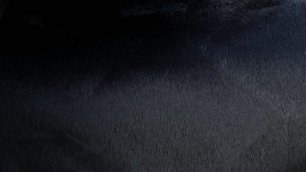 Cow Skin Material Library (Procedural) - Image 4